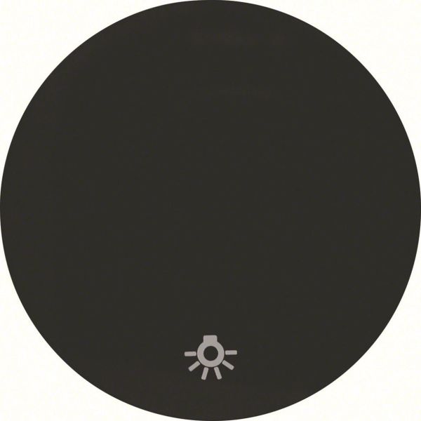 Hager 16202035 Vippa för R.1 och R.3, svart Enkel vippa, symbol "ljus"